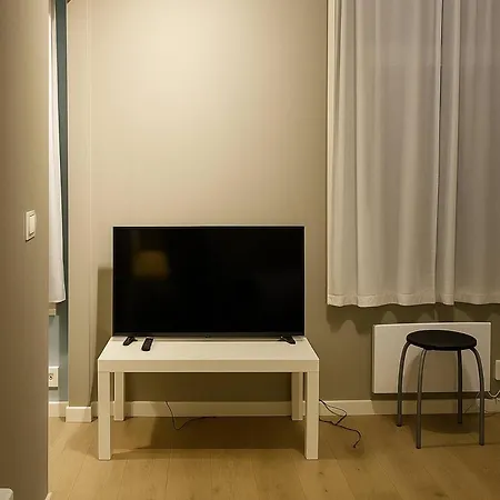 Modern 4 Guests Comfortable Bed And Sofa Bed Apartment Oslo