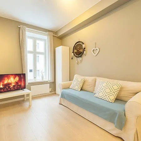 Modern 4 Guests Comfortable Bed And Sofa Bed Apartment Oslo